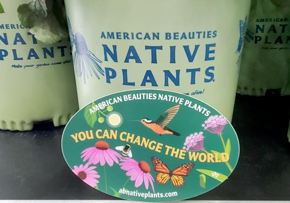 American Beauties Native Plants Stickers at MANTS
