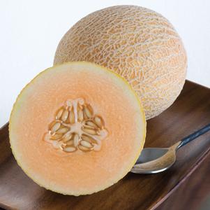 Melon Tasty Bites Melon Tasty Bites