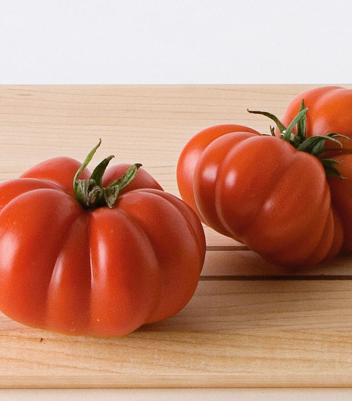 Tomato Costoluto Genovese