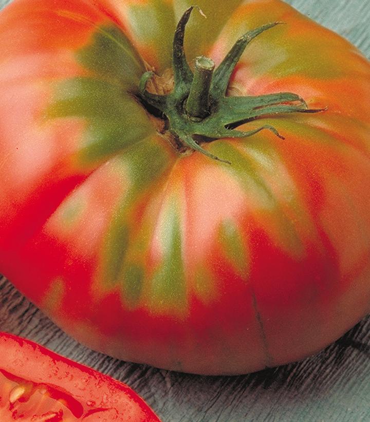 Tomato Brandywine