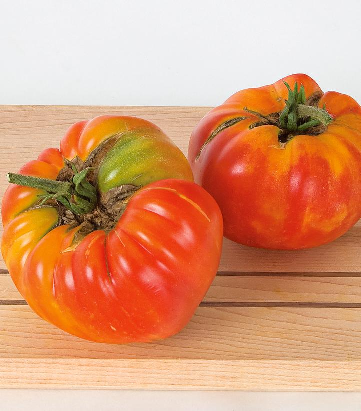 Tomato Striped German