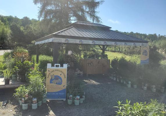 Evergreen Gardens of Vermont - Waterbury Center, VT