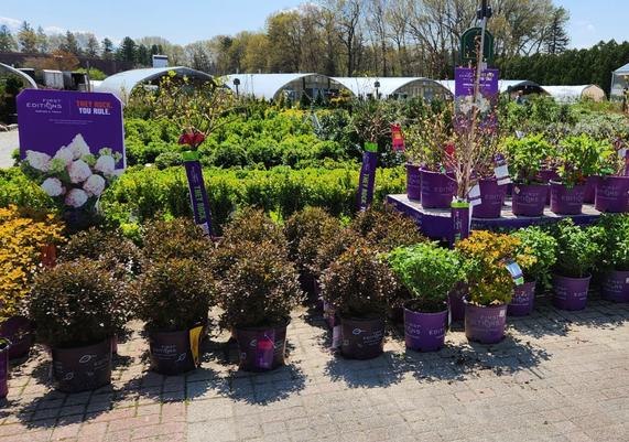 Sixteen Acres Garden Center - Springfield, MA