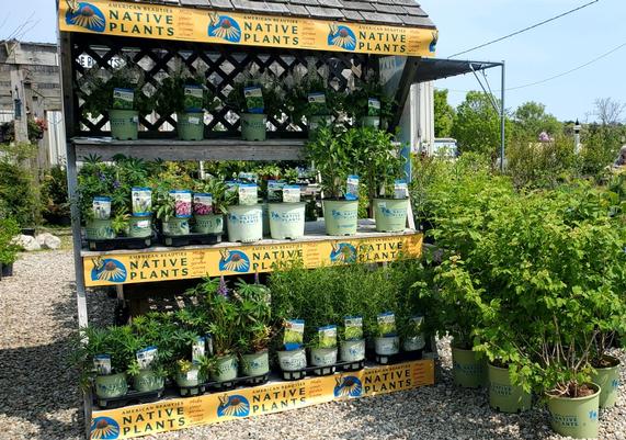 Ponderosa Garden Center - Eastham, MA