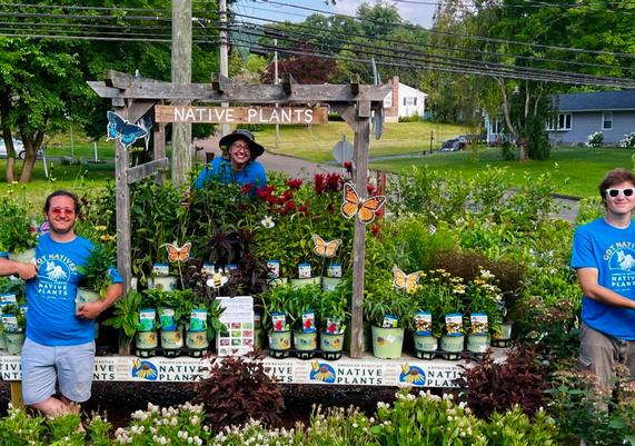 Natureworks Garden Center - Northford, CT