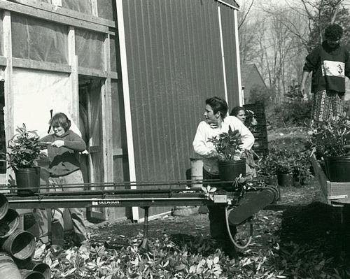 Pruning Shrubs