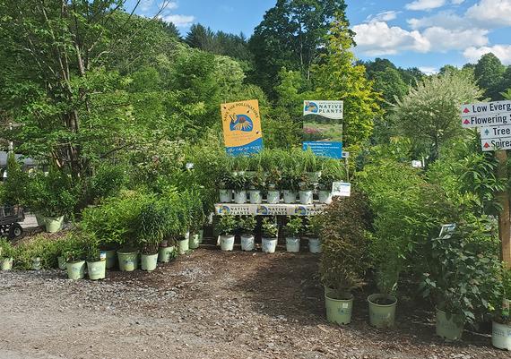 E.C. Brown Nursery - Thetford, VT