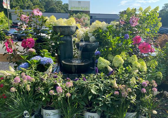 Perennial Gardens - Bedford, NY