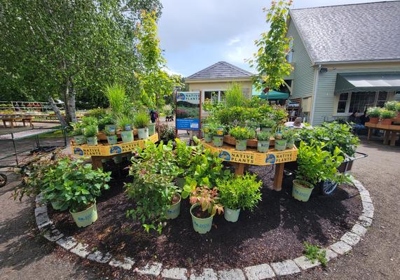 Gardener's Supply - Greenland, NH