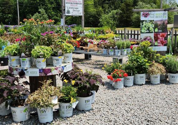 Hopkins Hill Nursery & Garden Center - West Greenwich, RI