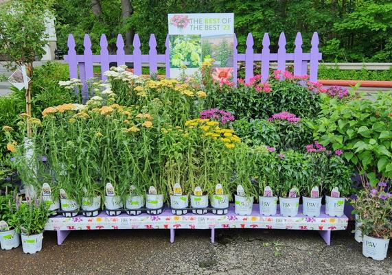 Lakeview Nurseries - Lunenburd, MA