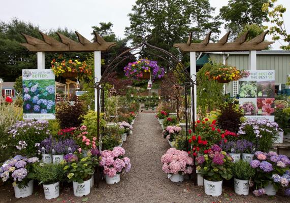 Wildwood Nursery & Garden Center - East Greenwich, RI