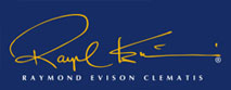 Raymond Evison Clematis Raymond Evison Clematis