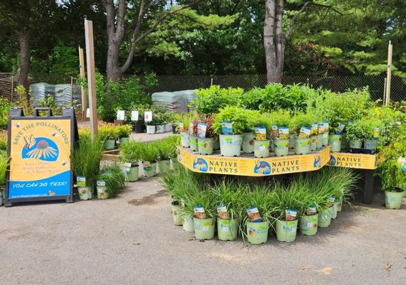 Mahoney's Garden Center - Tewksbury, MA