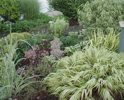 Arboretum