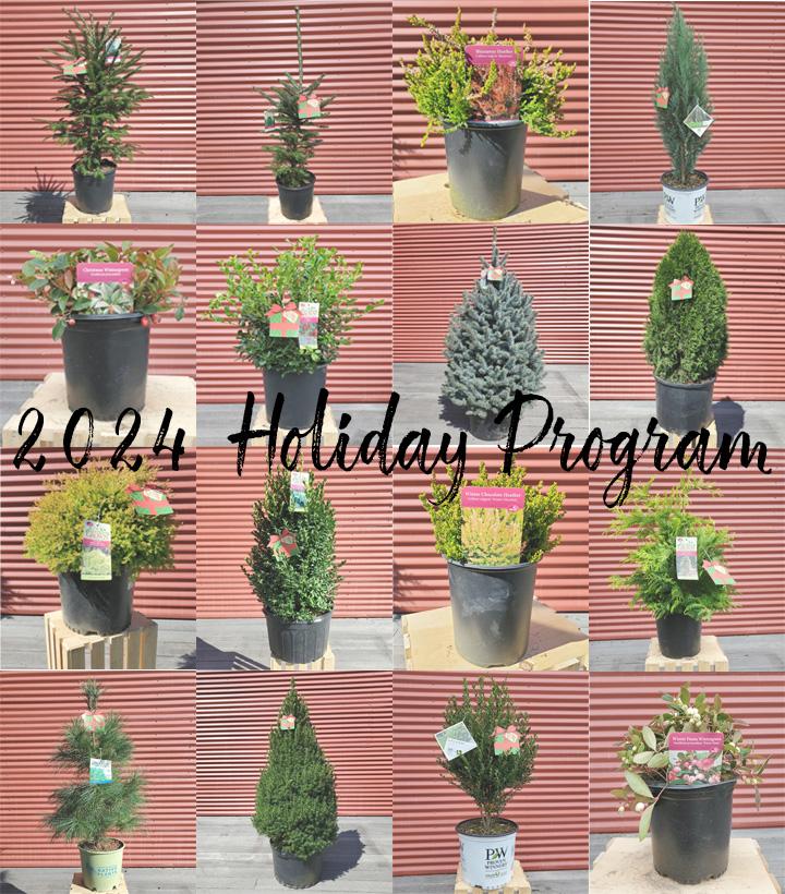 2024 Holiday program