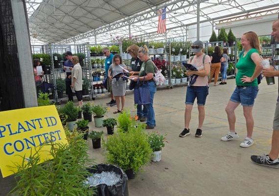 PLANT ID CONTEST