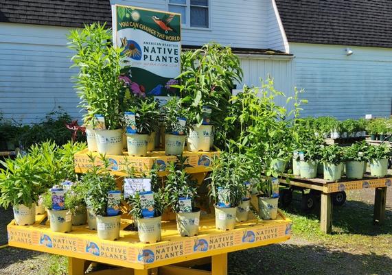 Callander's Nursery & Landscaping - Chatham, NY