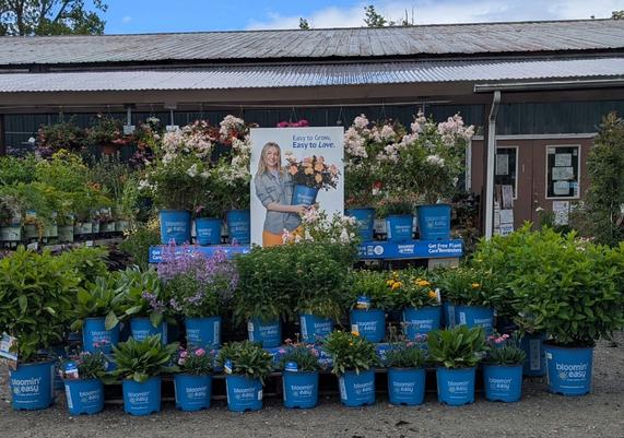 Hewitts Garden Centers - Greenbush, NY