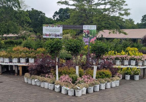 Briggs Nursery - North Attleboro, MA