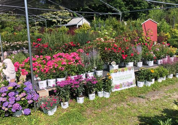 Ballek's Garden Center - East Haddam, CT