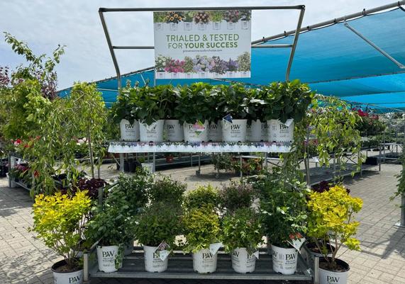 Flemings Feed - Stonington, CT