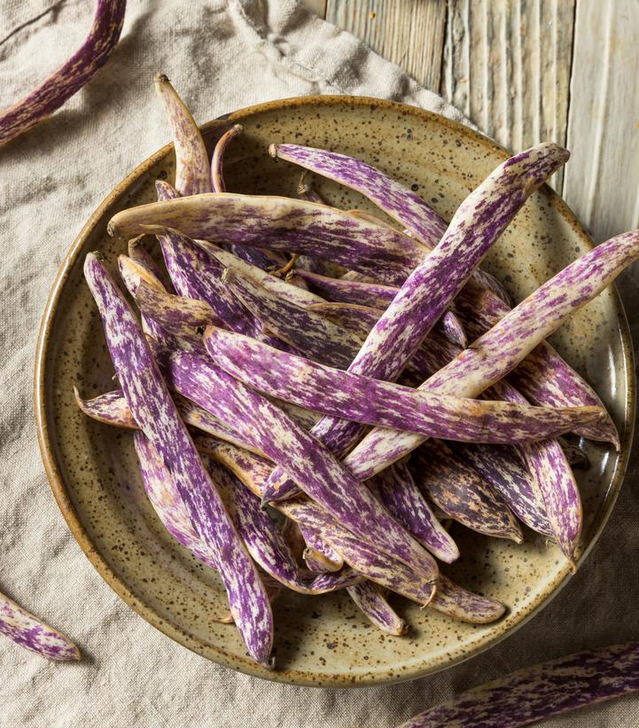 Bean 'Dragon Tongue'