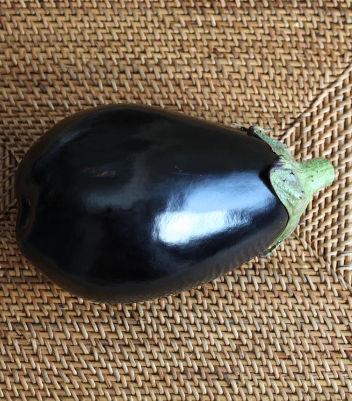Eggplant 'Black Beauty' 