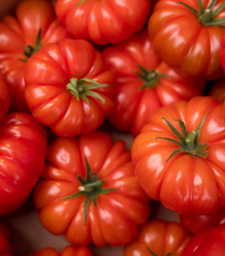Tomato 'Buffalosteak' (Slicer)