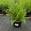 View Current Crop Photo