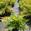 View Current Crop Photo