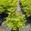 View Current Crop Photo