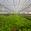 View Current Crop Photo