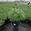View Current Crop Photo