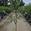 View Current Crop Photo
