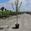 View Current Crop Photo