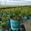 View Current Crop Photo