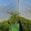 View Current Crop Photo