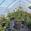View Current Crop Photo