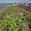 View Current Crop Photo