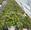 View Current Crop Photo