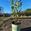 View Current Crop Photo