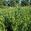 View Current Crop Photo
