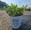 View Current Crop Photo