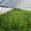 View Current Crop Photo