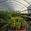 View Current Crop Photo
