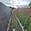 View Current Crop Photo