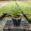 View Current Crop Photo