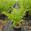 View Current Crop Photo