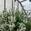 View Current Crop Photo